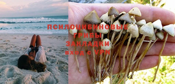 герыч Зерноград