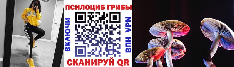 Галлюциногенные грибы мицелий  Курлово 