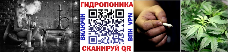 Конопля Bruce Banner  Курлово 